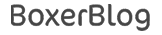 Lorem ipsum dolor sit amet Logo 6